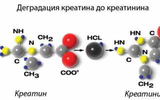 Определение очистительной способности почек по пробе Реберга