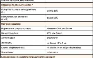 Результаты исследования — что показывает спермограмма?