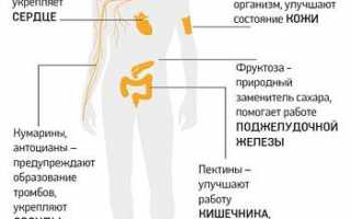 Можно ли есть черешню при сахарном диабете?