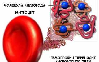 Определение индекса RDW в анализе крови