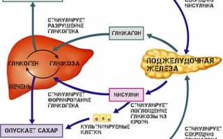 Методы профилактики сахарного диабета — как предупредить заболевание?