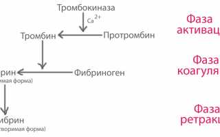 Частые кровотечения при плохой свертываемости крови