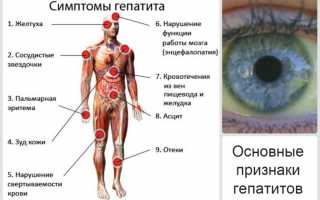 Специфические анализы крови на гепатит