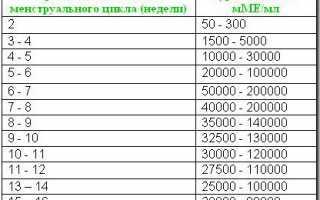 Результаты расшифровки биохимического анализа крови у беременных