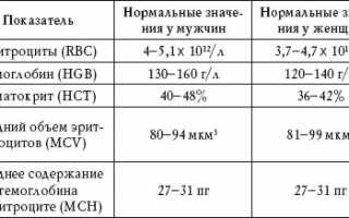 Нормы WBC в анализе крови