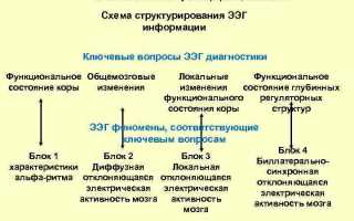 Диффузные изменения биоэлектрической активности мозга на ЭЭГ