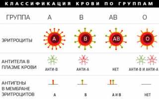 Какая норма эритроцитов в крови?