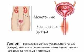 Содержание эритроцитов в мазке у женщин