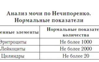 Сбор материала для анализа мочи по Нечипоренко