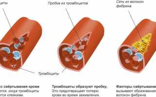 Процедура проведения гемостазиограммы при беременности