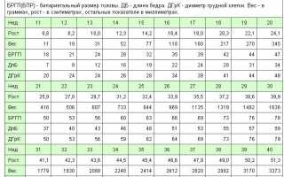 УЗИ плода — вред или польза?