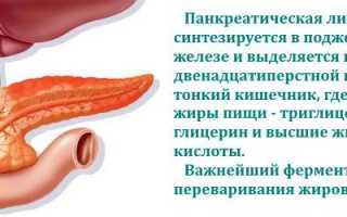 Функции панкреатической липазы в организме