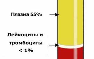 Обязательный анализ крови на СОЭ