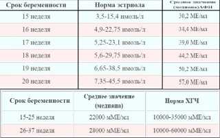 Сроки проведения второго скрининга при беременности