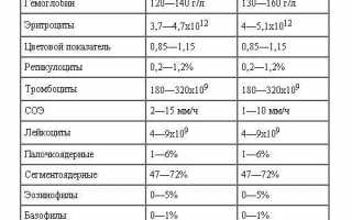 Какая норма лейкоцитов в крови?