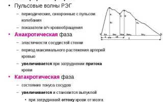 Расшифровка и оценка результатов РЭГ диагностики