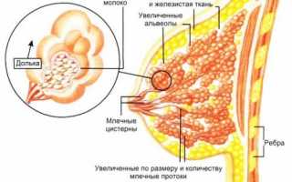 Процедура УЗИ грудных желез