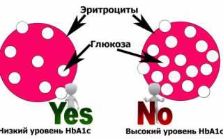 Лабораторное исследование крови на гликозилированный гемоглобин