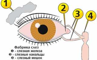 Как делать массаж при дакриоцистите и лечение в домашних условиях