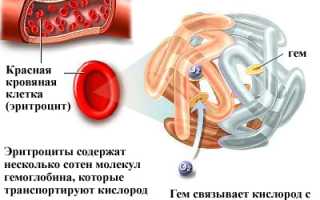 Повышение низкого гемоглобина у ребенка