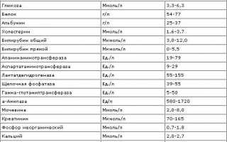 Уровень фосфора в крови повышен — что это значит?