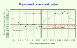 Какие анализы крови на беременность существуют?