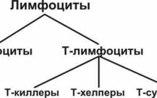 Возрастные нормы лимфоцитов у детей