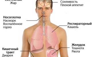 Актуальность анализа крови на свиной грипп