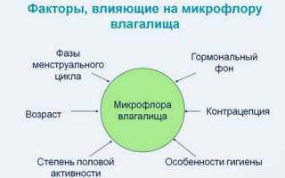 Что означают грам палочки в мазке?