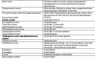 Чем грозит плохой анализ мочи при беременности?