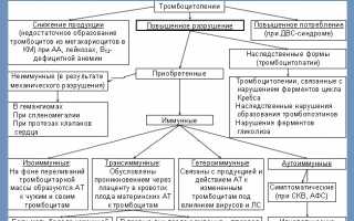 Диагностика тромбоцитопении у детей