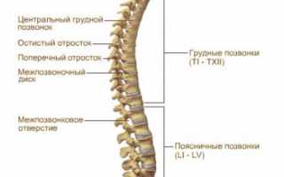 Причины болей в спине на МРТ позвоночника
