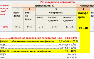 По каким причинам лимфоциты повышены у ребенка в крови?