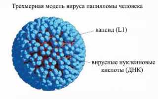 Зачем сдают мазок на ВПЧ?