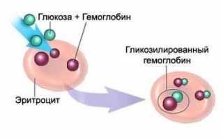 Отклонения от нормы гемоглобина у взрослых