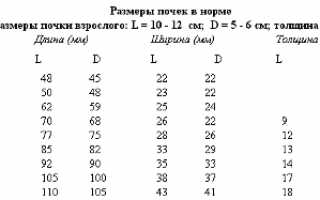 Результаты и расшифровка УЗИ почек после процедуры обследования