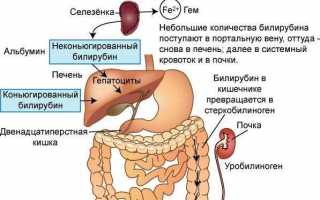 О чем говорит билирубин в анализе крови?